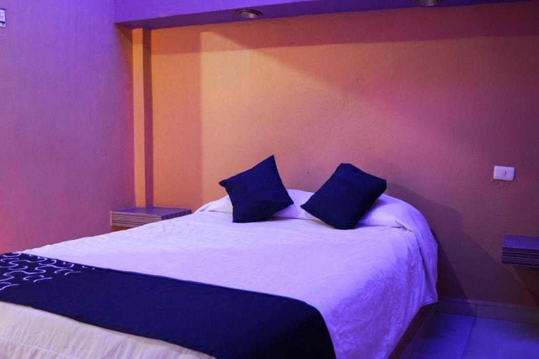 oyo hotel oasis