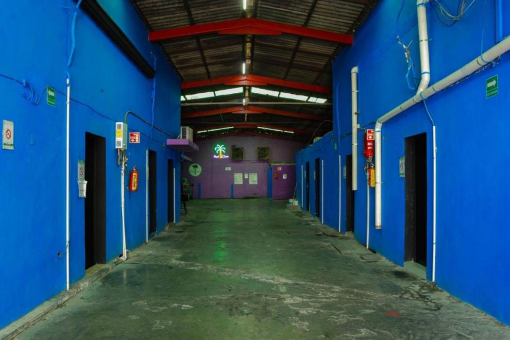 oyo hotel oasis