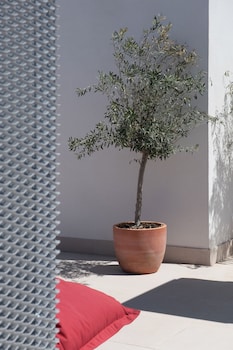 libere seville plaza nueva