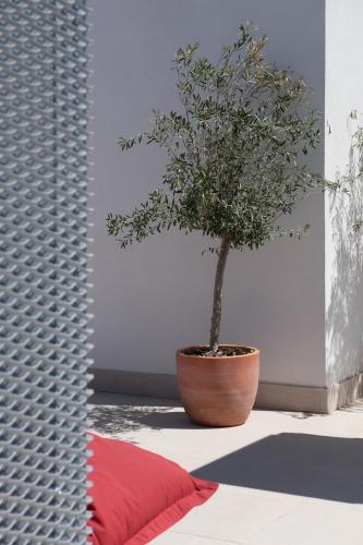 libere seville plaza nueva