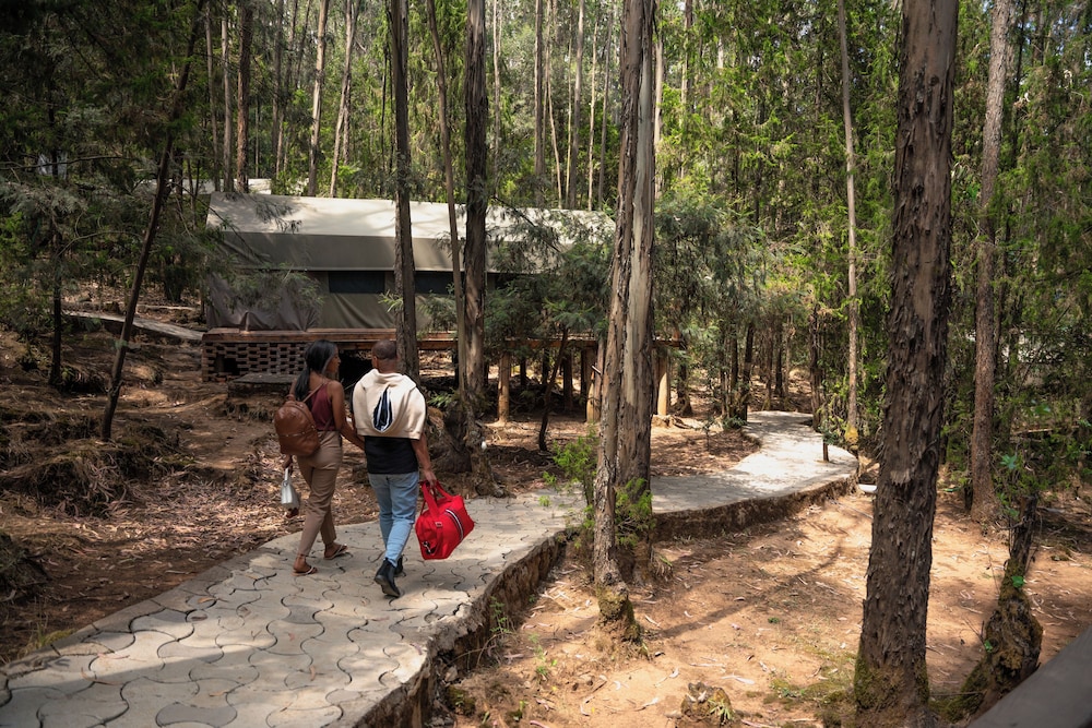 kuriftu entoto adventure park