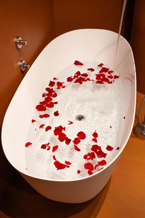 boutique hotel opera