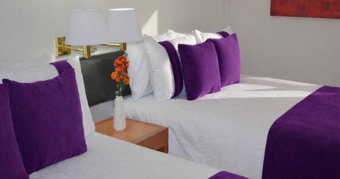 hotel lois express monterrey aeropuerto la fe