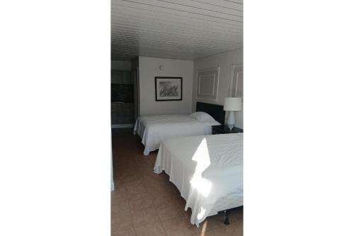 siesta motor inn kissimmee near disney world