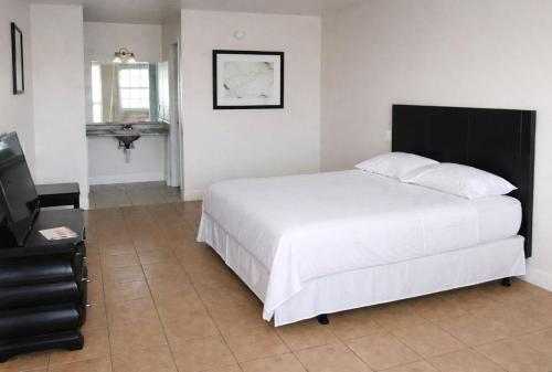 siesta motor inn kissimmee near disney world