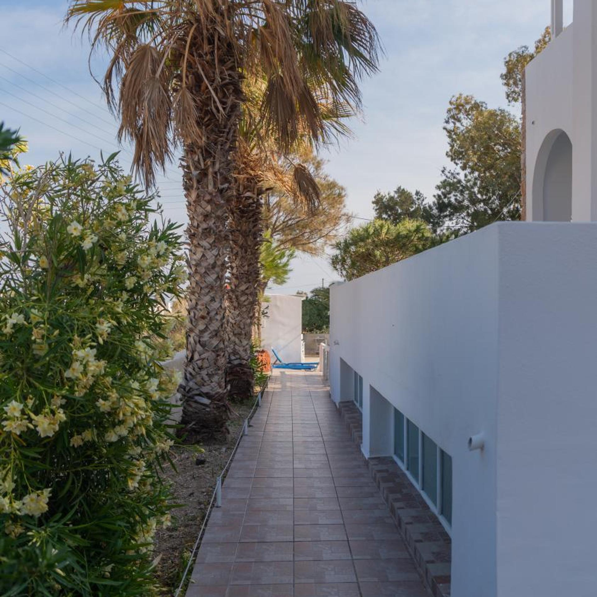 noeme santorini