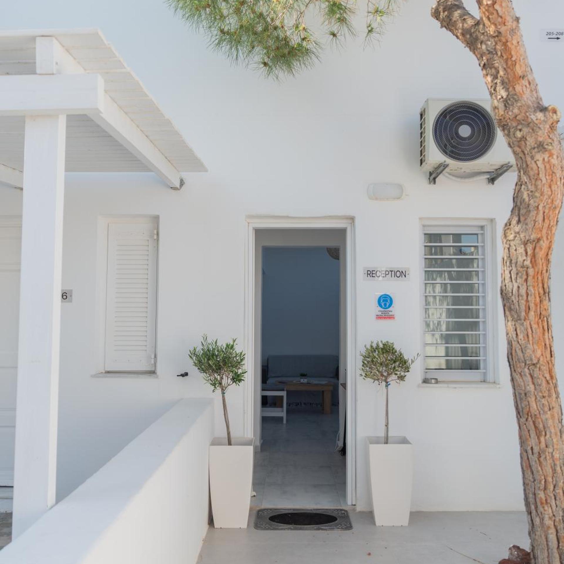 noeme santorini