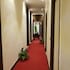 cairo paradise hotel