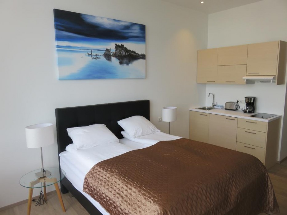 iceland comfort apartments by heimaleiga