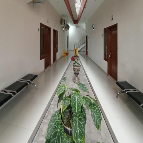 reddoorz syariah house purwokerto