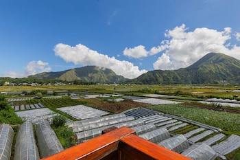 teras sawah guest house syariah