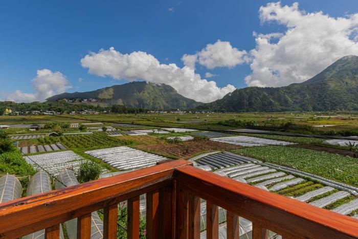 teras sawah guest house syariah