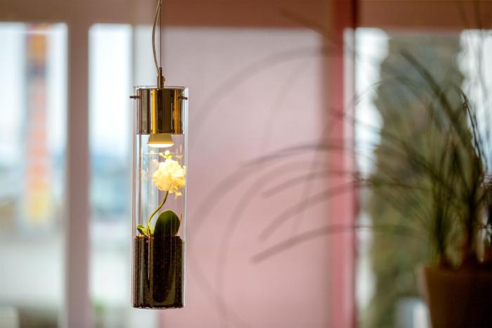 montana hotel ellwangen