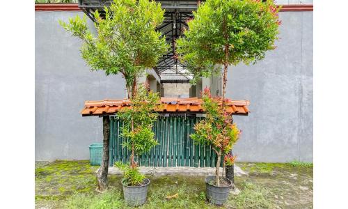 griya asri syariah mitra reddoorz