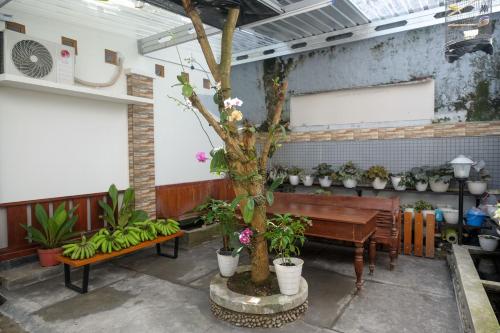 reddoorz syariah near kampus unsoed purwokerto