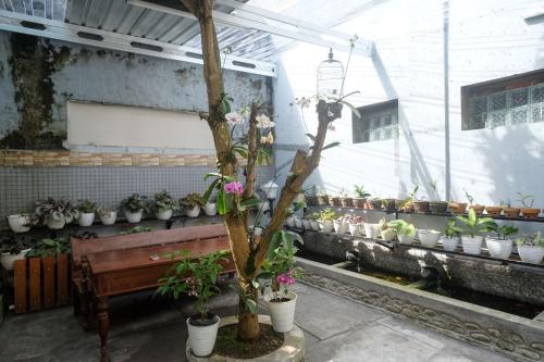 reddoorz syariah near kampus unsoed purwokerto