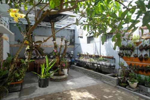 reddoorz syariah near kampus unsoed purwokerto