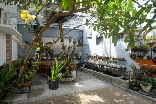 reddoorz syariah near kampus unsoed purwokerto
