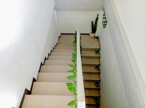 homestay bahari near wisata bahari tlocor sidoarjo mitra reddoorz