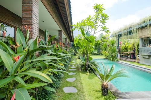 the kumpi bali by the lavana