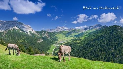 hotel oberland