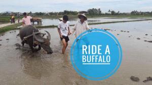the moon river homestay and villa