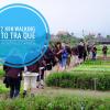 the moon river homestay and villa
