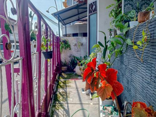 trihakso guest house near kaliurang redpartner