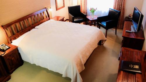 hotel zlaty lev zatec