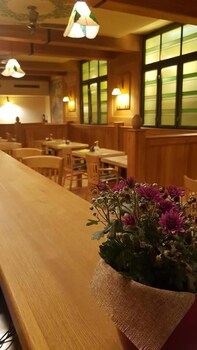 hotel zlaty lev zatec