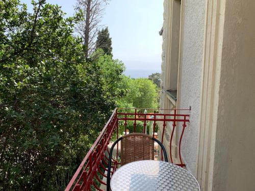 hotel ruza