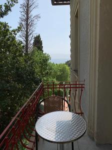 hotel ruza
