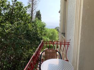 hotel ruza