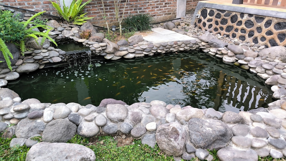 harmony homestay