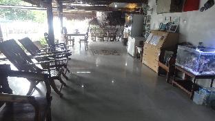 Sea Turtle House,Cebu>>Alcoy,3 star