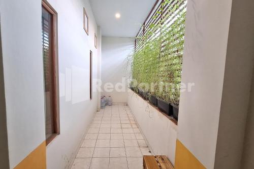 nirvana inn seturan mitra reddoorz