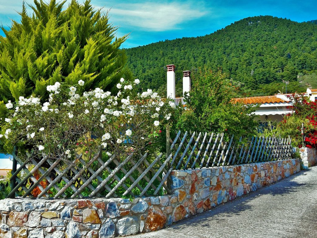alexios studios