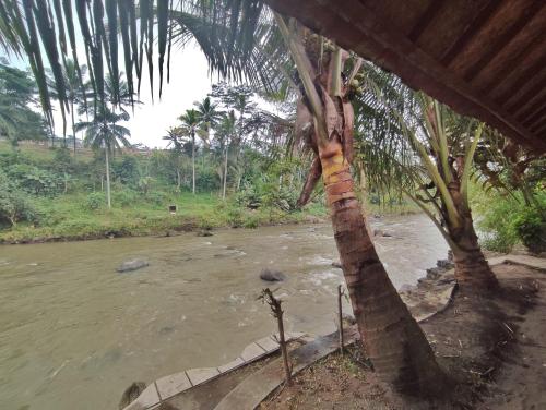 oemah tahu banjarnegara resto and resort mitra reddoorz