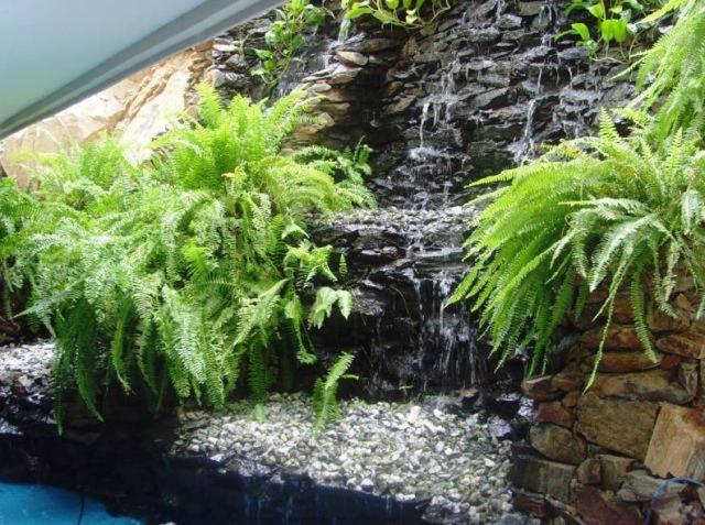 aparta hotel roca marina