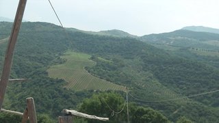 pollina