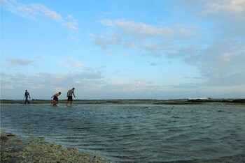 seaside sayang heulang by sinergi