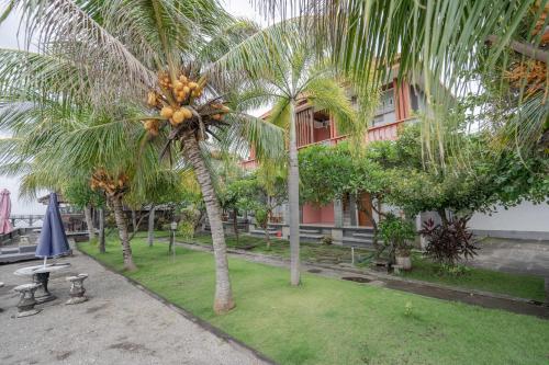 rommeo inn lovina mitra reddoorz