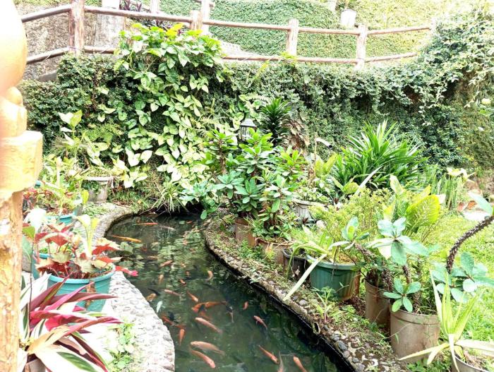 villa cahaya 3 guci mitra reddoorz