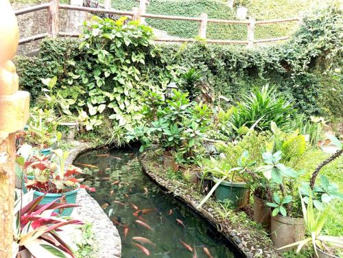 villa cahaya 3 guci mitra reddoorz