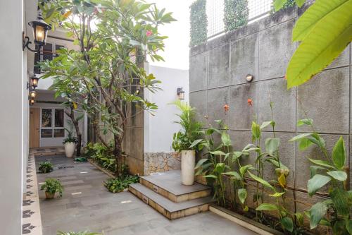 calma coliving at bintaro tangerang selatan