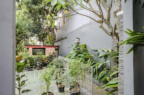 calma coliving at bintaro tangerang selatan