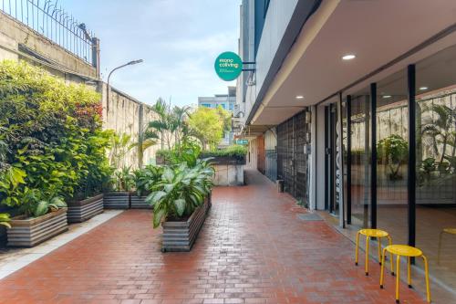 jakarta