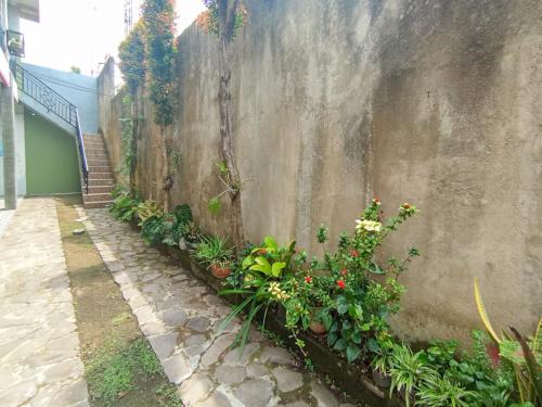 reddoorz at penginapan hello pacitan