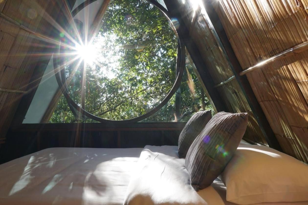 lannawild chiang mai
