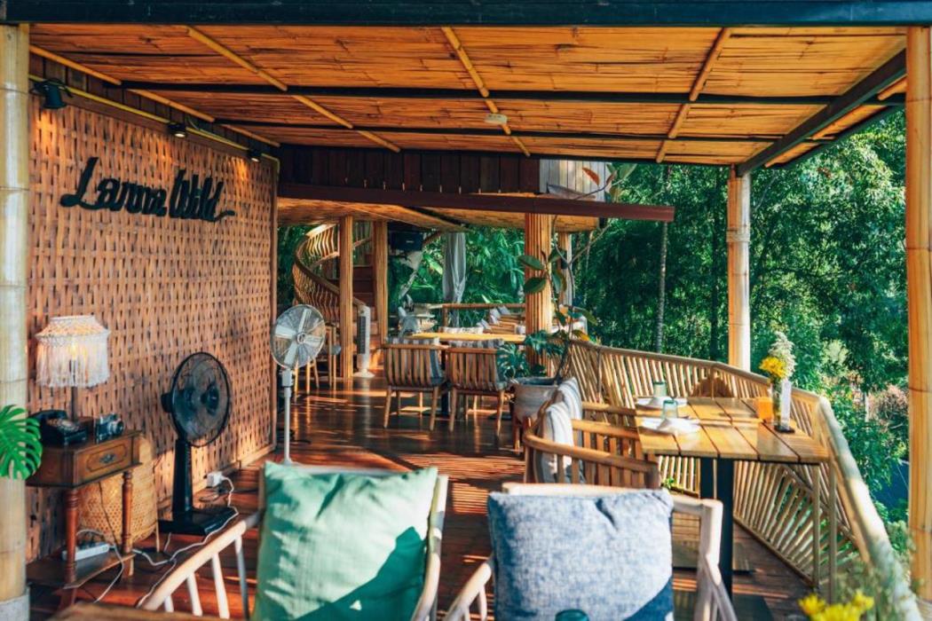 lannawild chiang mai